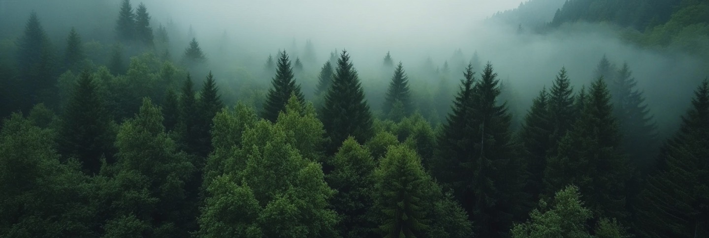 Footer Image